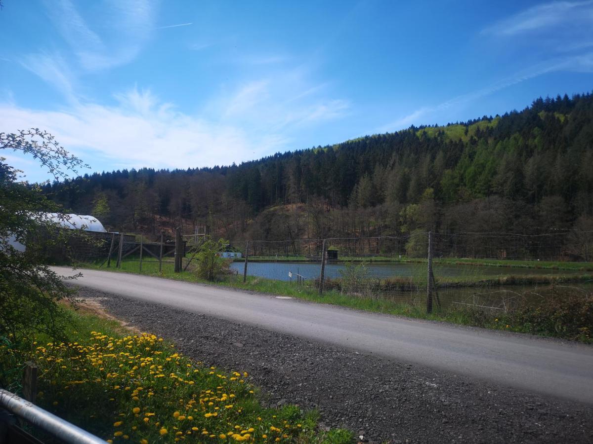 Ferienhaus Salmtal Himmerod Grosslittgen Екстер'єр фото