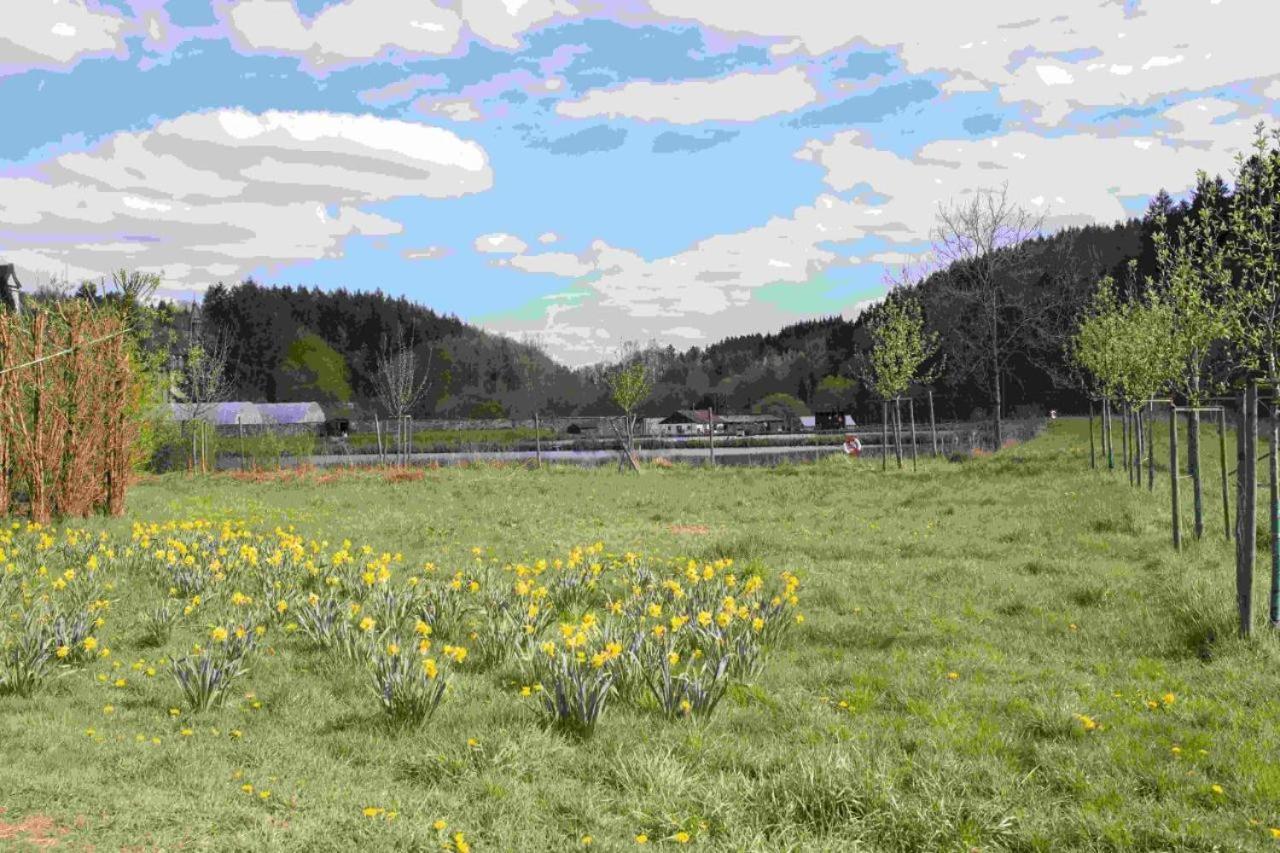 Ferienhaus Salmtal Himmerod Grosslittgen Екстер'єр фото