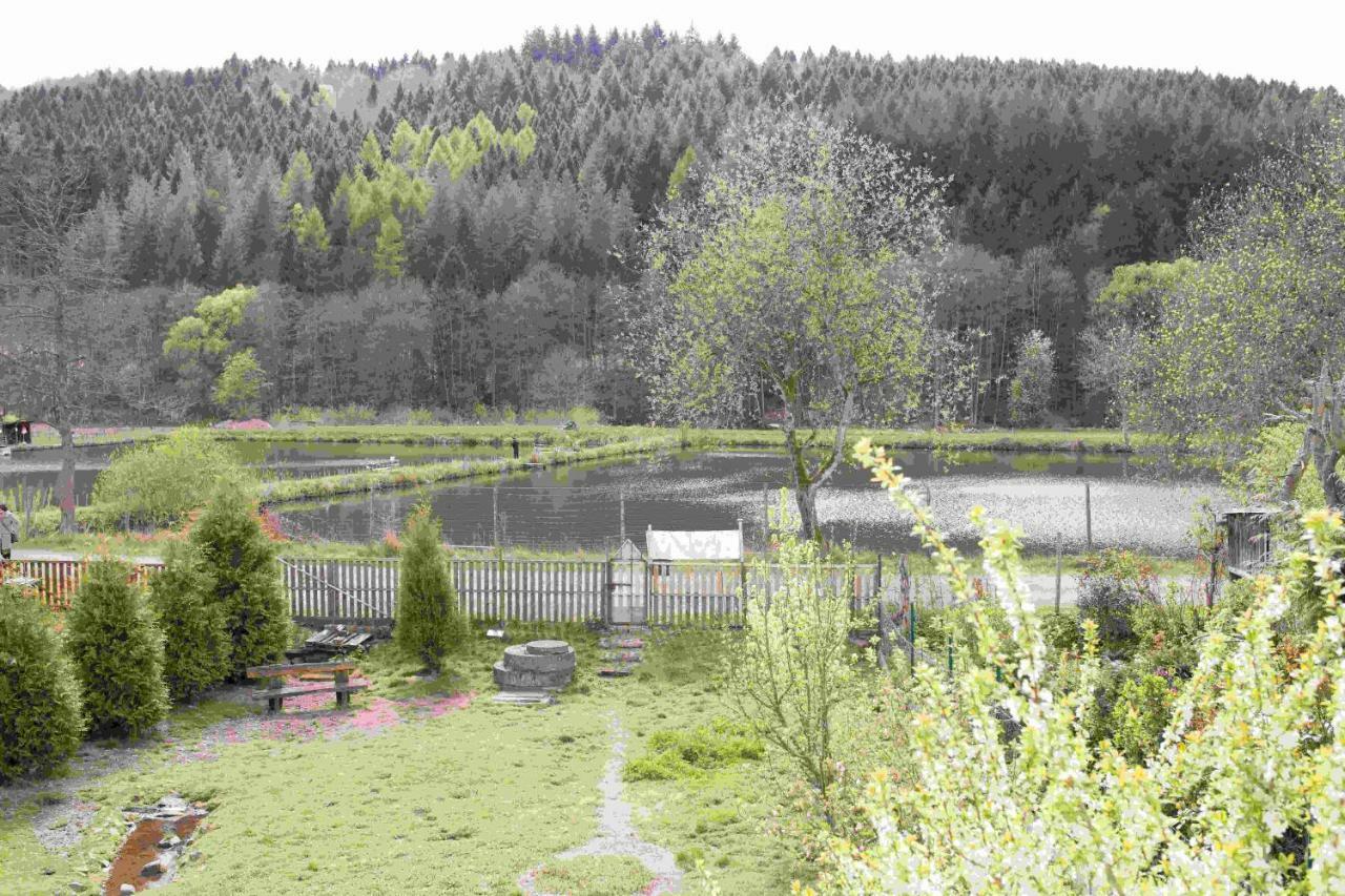 Ferienhaus Salmtal Himmerod Grosslittgen Екстер'єр фото