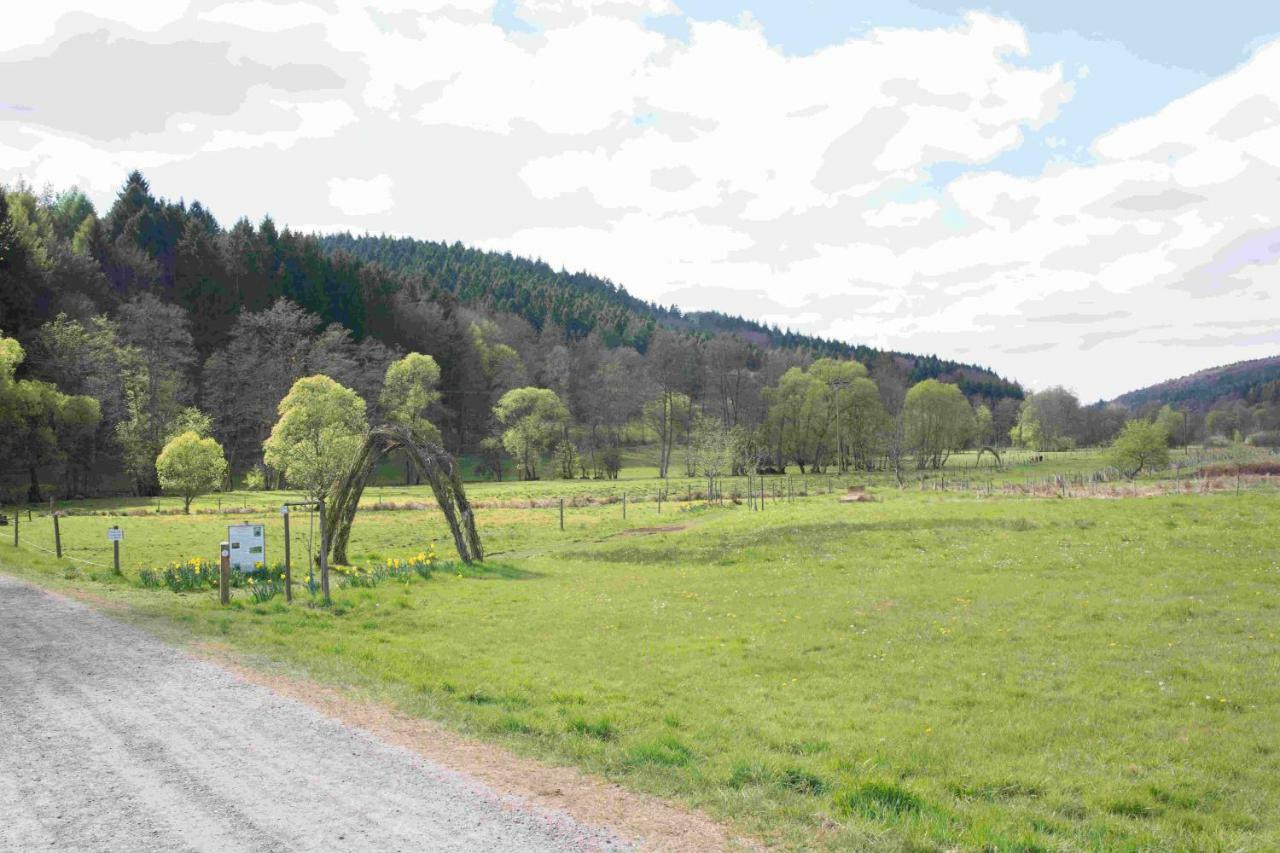 Ferienhaus Salmtal Himmerod Grosslittgen Екстер'єр фото